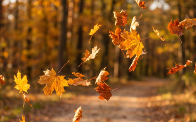 Threshold Letters 3 – Letting Go
