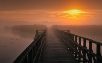 Threshold Letters 4 – Bridge of No Return