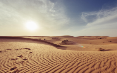 Threshold Letters 7 – Walking the Desert of Ambiguity